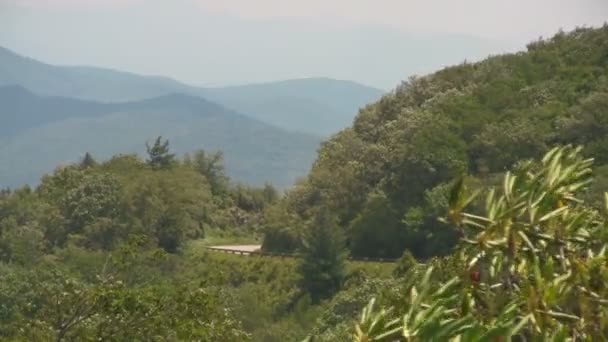 Duas Motos Andando Blue Ridge Parkway Indo Torno Uma Curva — Vídeo de Stock