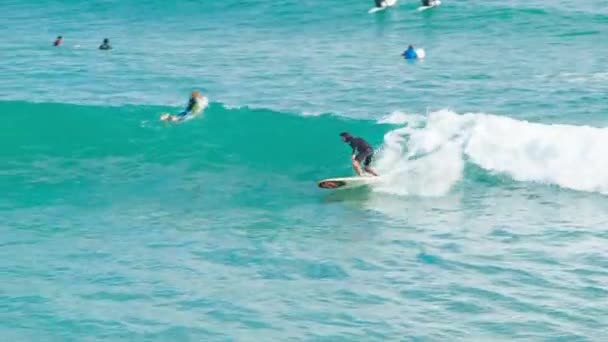 Surfen Close Actie Tauranga Nieuw Zeeland Mount Maunganui Main Beach — Stockvideo