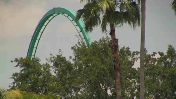 Kraken Rollercoaster Doing Loop Seaworld Adventure Park Orlando Florida — Stock Video