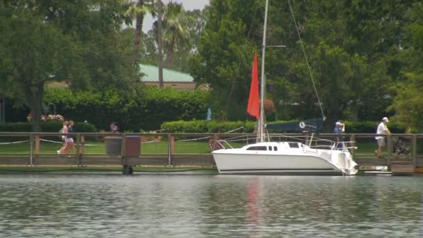 Orlando Seaworld Adventure Park Tanınmayan Tema Parkı Ziyaretçiler Florida Arka — Stok video