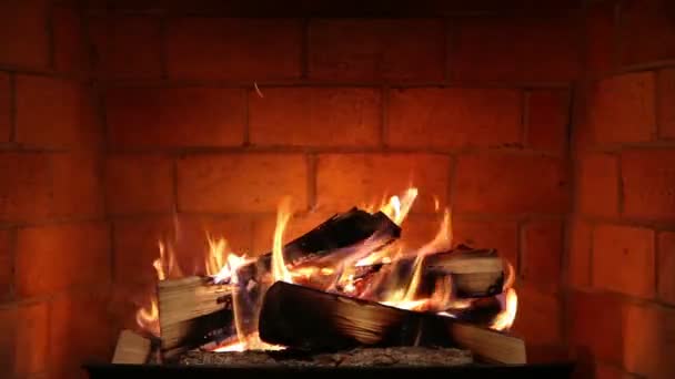 Real Wood Fire Burning Glowing Clean Brick Fireplace — Stock Video