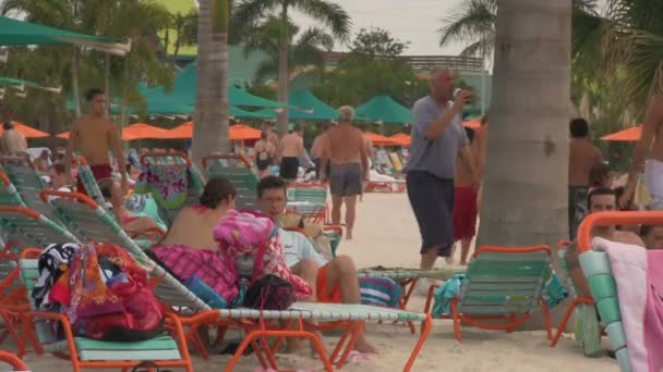 Férias Orlando Flórida Desfrutando Dia Verão Praia Seaworld Orlando Aquatica — Vídeo de Stock