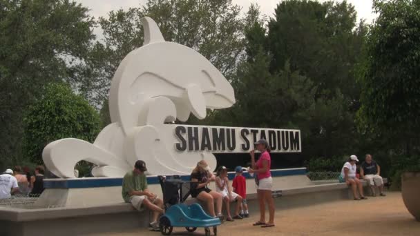 Människor Som Går Förbi Och Står Vid Ingången Till Shamu — Stockvideo