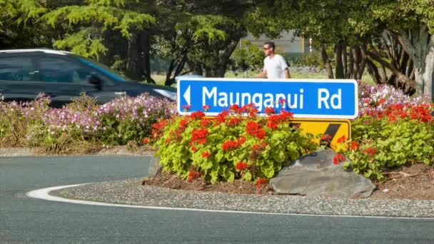 タウランガニュージーランドマウンガヌイ道路は 車両のトラフィックとカラフルな花や緑の木の中を歩く人々と通りでクローズアップ — ストック動画