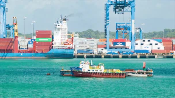 科隆巴拿马集装箱航运充满活力的港口场景在阳光明媚和潮湿的一天在加勒比 — 图库视频影像