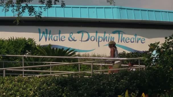 夏の間にオーランドフロリダのシーワールドアドベンチャーパークでクジラとイルカ劇場に入る休暇の家族 — ストック動画