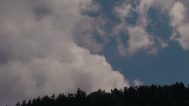 从北卡罗来纳州西部阿什维尔附近的蓝岭公园路看到的实时云在阿巴拉契亚山脉山顶上快速移动的特写 — 图库视频影像