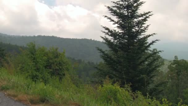 Pan Stormy Blue Ridge Mountains Seen Blue Ridge Parkway Asheville — Stock Video