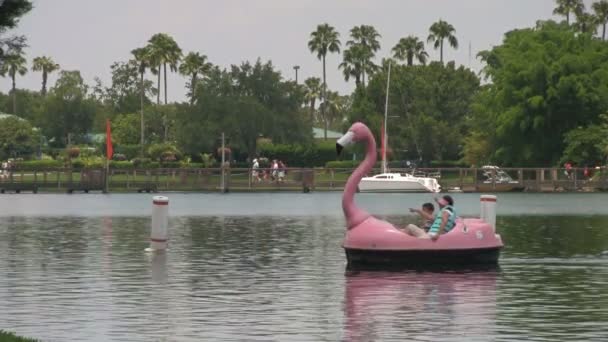 Unrecognizable Theme Park Visitors Enjoying Time Lake Seaworld Orlando Adventure — Stock Video
