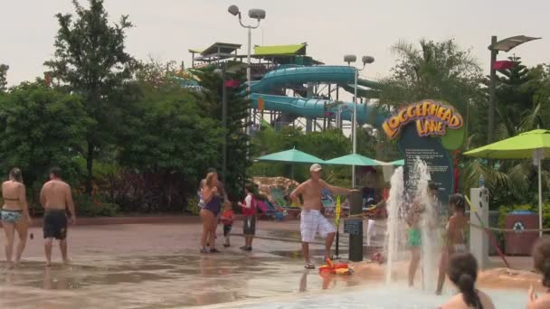 Onherkenbaar Bezoekers Van Aquatica Water Park Orlando Florida Rondlopen Tussen — Stockvideo