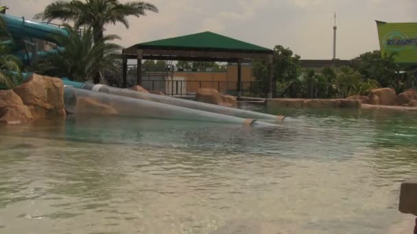 Mensen Glijden Een Onderwater Glijbaan Het Water Eronder Bij Seaworld — Stockvideo