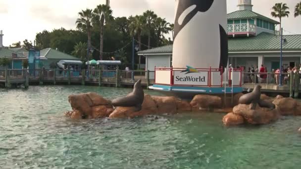 Ingången Till Seaworld Adventure Park Orlando Florida Med Människor Rada — Stockvideo