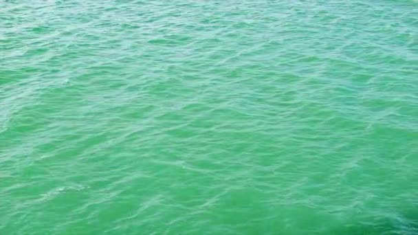 Acqua Dell Oceano Verde Ampio Movimento Sfondo Vorticoso Nella Baia — Video Stock