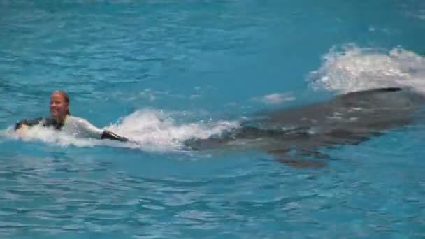 Shamu Baleia Orca Assassina Empurrando Uma Instrutora Feminina Através Água — Vídeo de Stock