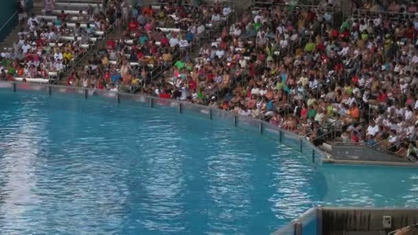 沙穆体育场一个完全包装的无法辨认的人群 等待在佛罗里达州奥兰多的海洋世界冒险公园开始表演 — 图库视频影像