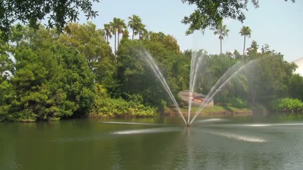 Een Vijver Met Een Water Voorziening Het Anheuser Busch Embleem — Stockvideo