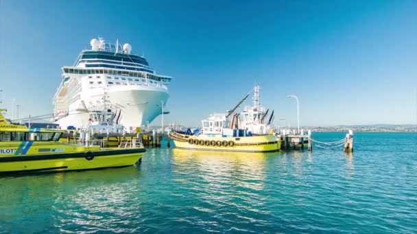 Luxus Kreuzfahrtschiff Zur Sonnwendfeier Hafen Von Tauranga Neuseeland Bei Perfektem — Stockvideo