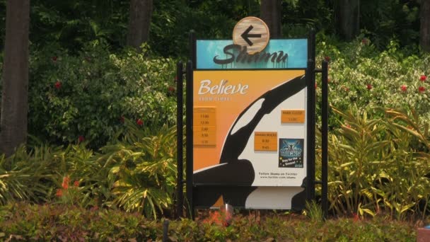 Segnaletica Raffigurante Shamu Believe Mostra Informazioni Fron Dello Shamu Stadium — Video Stock