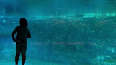 Bir Tanınmayan Kız görünümlü ve Seaworld Orlando Adventure Park'ta bir Sualtı Tank Sergisi içinde bir Katil Balina fotoğraf çekmek.