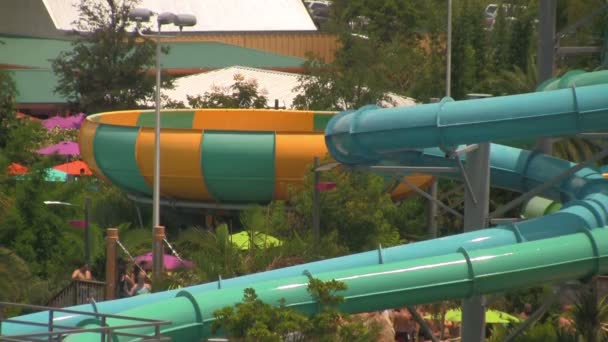 Bowl Feature Part Water Tube Slide Person Passing Seaworld Aquatica — Stock Video