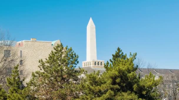 Washington Memorial Stiger Bakom Byggnader Och Träd Solig Dag — Stockvideo
