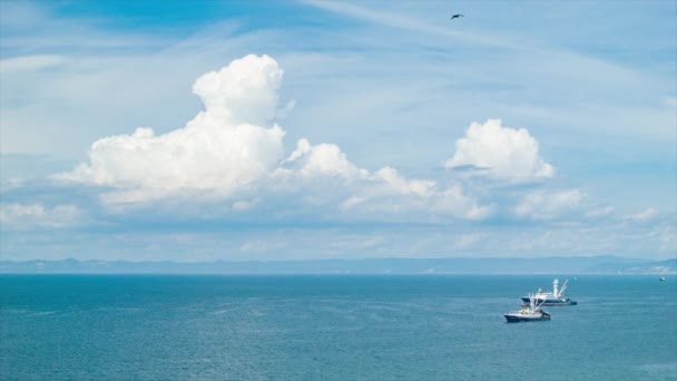 Pacific Ocean Wide Shot Fishing Boats Manta Ekuador Vibrant Sunny — Stok Video