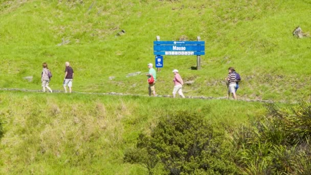 Tauranga Nieuw Zeeland Toeristen Bezoeken Wandelen Mauao Mount Maunganui Omgeven — Stockvideo