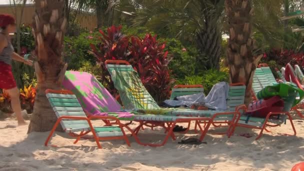 在佛罗里达州奥兰多的海洋世界水上乐园的沙滩上 沙滩椅与棕榈树下的毛巾 — 图库视频影像