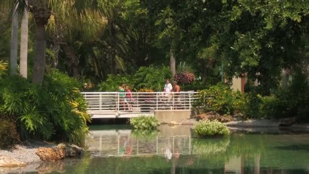 Oigenkännlig Familj Njuter Dag Seaworld Adventure Park Orlando Korsar Bro — Stockvideo