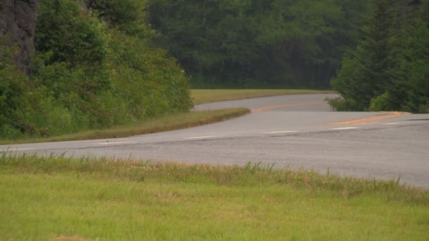 サイクリストとモーターサイクリストは 両方とも西ノースカロライナ州のアッシュビルとウェインズビルの間のブルーリッジパークウェイを走行しています — ストック動画