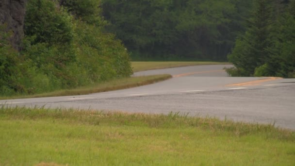 Cyklist Och Motorcyklist Båda Reser Blue Ridge Parkway Mellan Asheville — Stockvideo