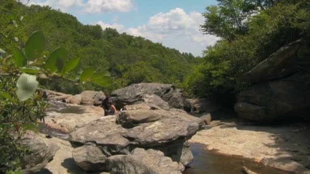 西ノースカロライナ州アッシュビルとウェインズビルの間のブルーリッジパークウェイから墓地フィールドトレイルのローバーの岩の上を訪れ 探検し 登る家族 — ストック動画