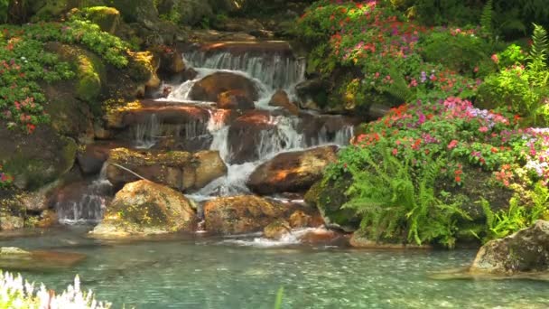 Uma Cachoeira Jardim Feita Pelo Homem Cercada Por Flores Parcialmente — Vídeo de Stock