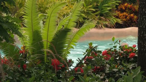 Närbild Människor Oigenkännlig Flyter Lummig Tropisk Lazy River Omgiven Växter — Stockvideo