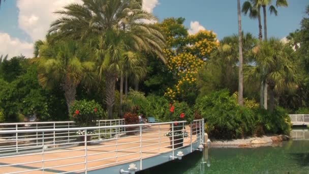 Inclinaison Pont Dessus Étang Dans Jardin Luxuriant Vers Ciel Bleu — Video