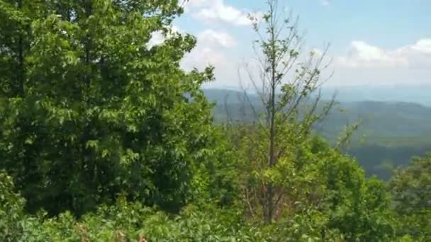 Pan Blue Ridge Mountains Revealing Looking Glass Rock Distance Inglés — Vídeo de stock