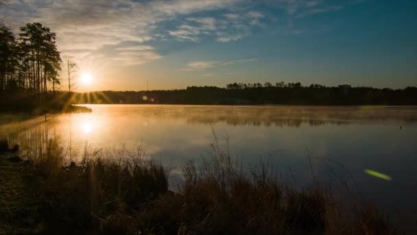 ローリーNc静的自然シーンで黄金の朝の太陽の光に移動する湖カニの木の霧 — ストック動画