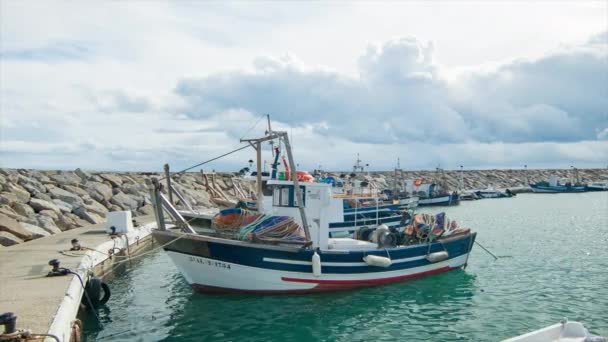 Fishing Boats Puerto Duquesa Manilva Spain Tied Pier Calm Sunny — Stock Video