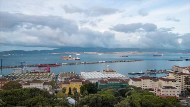 Bay Gibraltar Panoramic Landscape Early Morning Tanker Ships Buildings Harbour — Stock Video