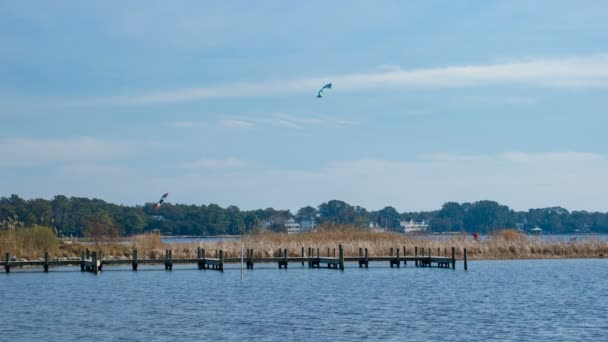 Kites Létající Vnějších Bankách Přes Currituck Sound Carolle Severní Karolíně — Stock video