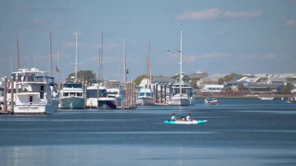 Carolina Beach Marina Eğlence Sahne Nsanlar Tekneler Yatlar Arasında Güneşli — Stok video