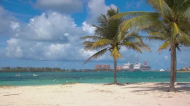 Nassau Bahamalar Tropik Turizm Manzara Sahne Tatil köyleri ve Cruise Ships ile Ufukta Pembe Kum Yeşil Palmiye Ağaçları ile Egzotik Plaj dan görüldü