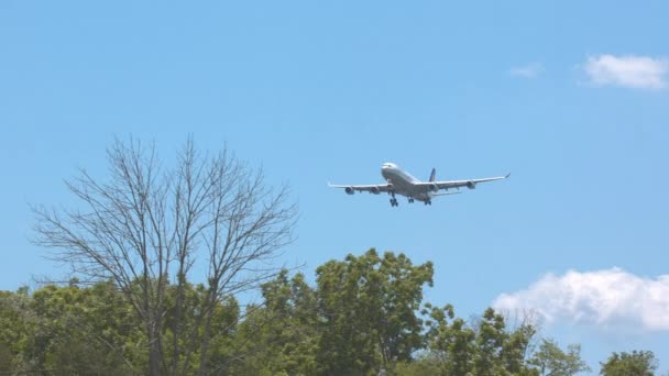 ワシントン DcルフトハンザエアバスA340 300ジェット旅客機 ダレス国際空港Iadへの最終アプローチ — ストック動画