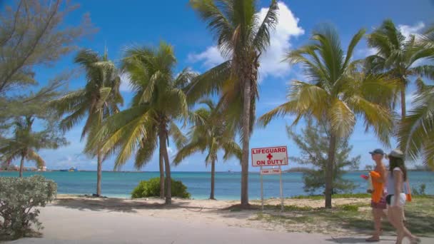 Nassau Bahamas Tropikalne Palma Drzewo Beachfront Scena Dwa Kobiety Chodzenie — Wideo stockowe