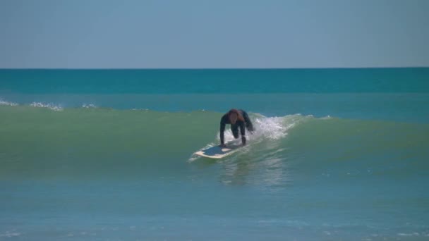 Wilmington Surfers Riding Waves Close Wrightsville Beach Bir Sunny Day — Stok video