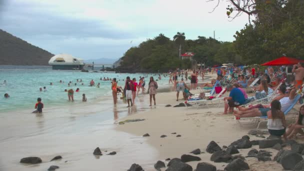 Thomas Virgin Islands Coki Point Beach Crowded Tourists Swimming Sunbathing — Stock Video