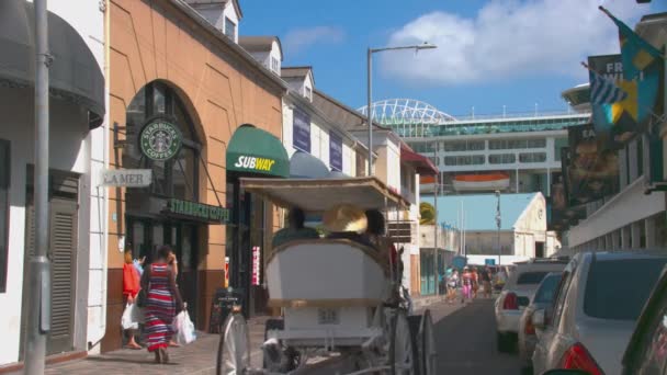 Nassau Bahamas Häst Och Vagn Downtown Shopping Gata Med Människor — Stockvideo