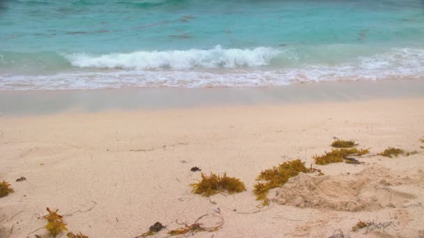 Generische Tropische Strand Szene Hintergrund Mit Türkisblauem Karibischem Wasser Wellen — Stockvideo