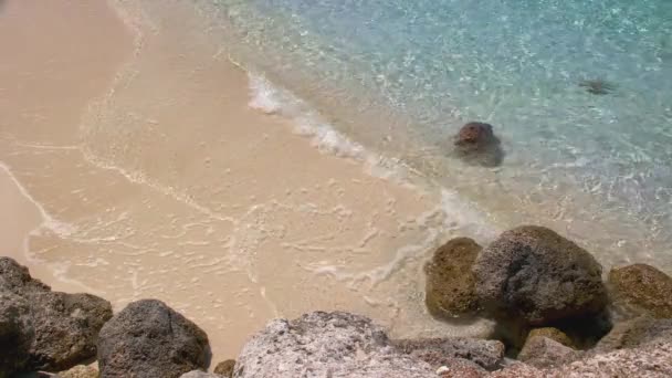 Clear Tropical Ocean Water Rompiendo Suavemente Arena Rosa Contra Rocas — Vídeos de Stock