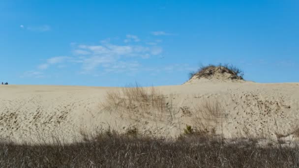 Sanddüne Äußeren Ufer Jockey Ridge State Park Mit Totem Gras — Stockvideo